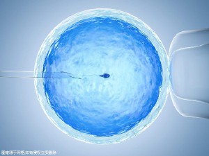 医疗团队